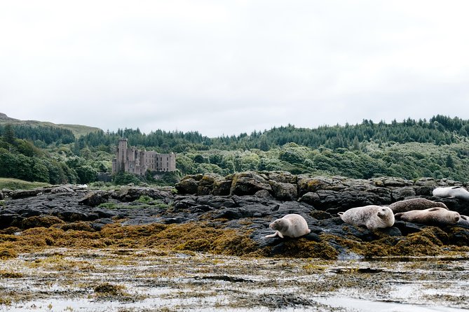 3-Day Isle of Skye, 'Hogwarts Express' Train and Highlands Tour - Day 2: Old Man of Storr, Kilt Rock waterfall, and Dunvegan Castle’s Clan MacLeod link