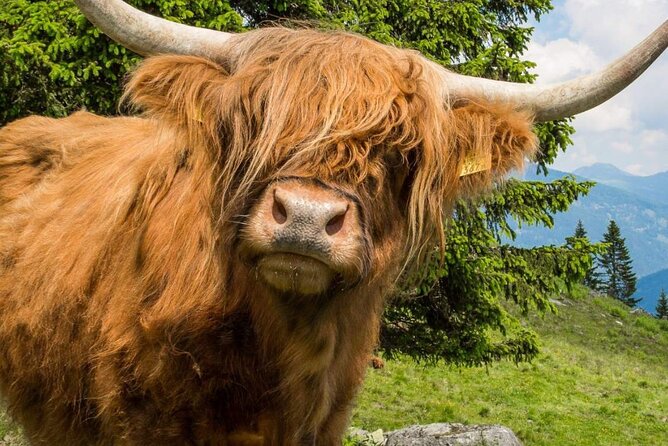 3 Day - Isle of Skye, Loch Ness & Glenfinnan Tour from Edinburgh - What you pay ($345.27) and what you’ll still spend