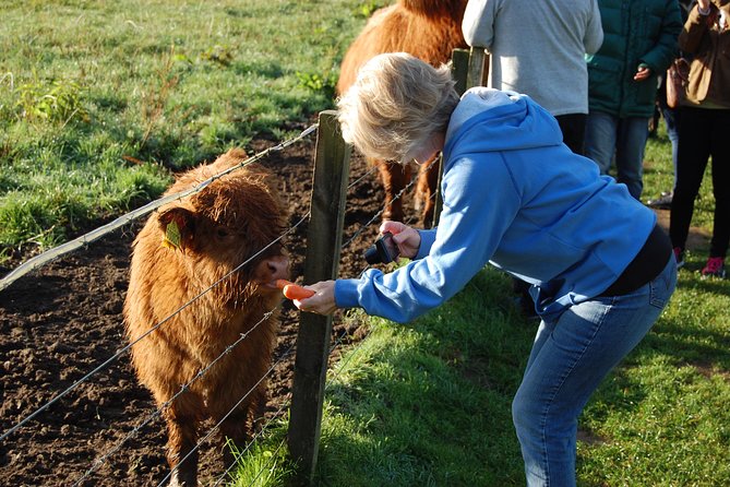 5-Day Best of Scotland Tour from Edinburgh - Why this tour works when you want Scotland, not stress