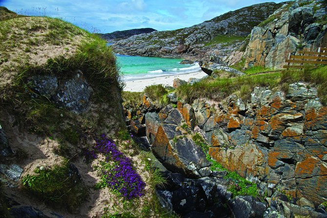 5-Day Highland Explorer and Isle of Skye Small-Group Tour from Edinburgh - Plockton and the Loch Carron surprise: palms where you don’t expect them