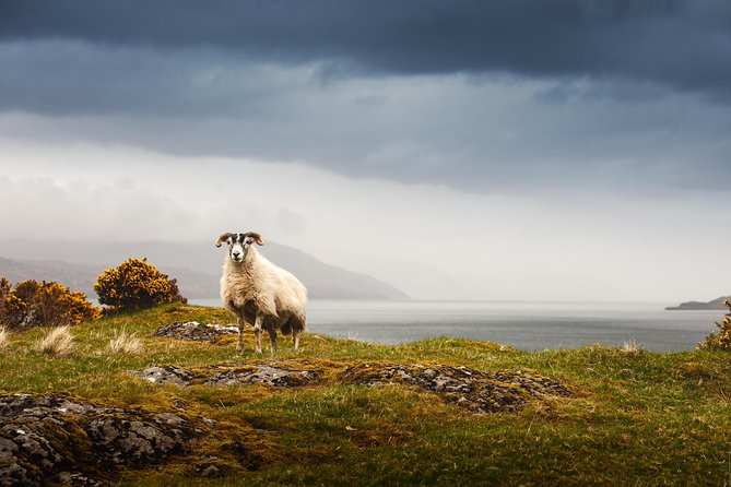 5-Day Iona, Mull and the Isle of Skye Small-Group Tour from Edinburgh - From Edinburgh to Loch Lomond: easing into the West Highlands