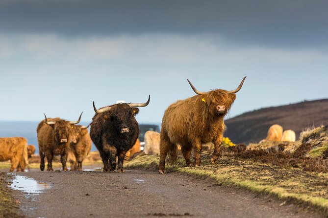 8 Day Isle of Skye, Orkney & North Coast 500 tour from Edinburgh - A road-trip that does the planning for you (and that matters)