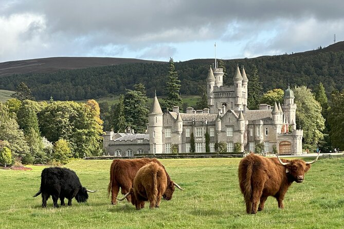 Balmoral & Royal Deeside Tour - Tomnaverie Stone Circle: Recumbent Stones and an Unknown Story