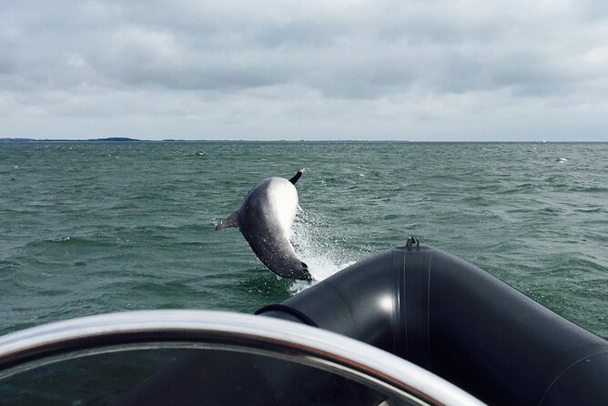 Boat Seafari Adventure - Getting to the dock: Lifeboat Sculpture in Broughty Ferry