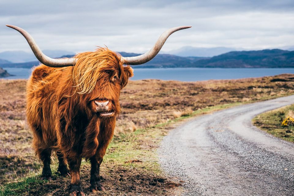Edinburgh: 3-Day Isle of Skye, Highlands, and Loch Ness Tour - Why the Highlands, Skye, and Loch Ness are paired so well