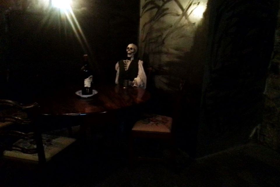 Edinburgh: Guided Ghost Walking Tour - Niddry’s Wynd vaults under South Bridge: old streets beneath your feet