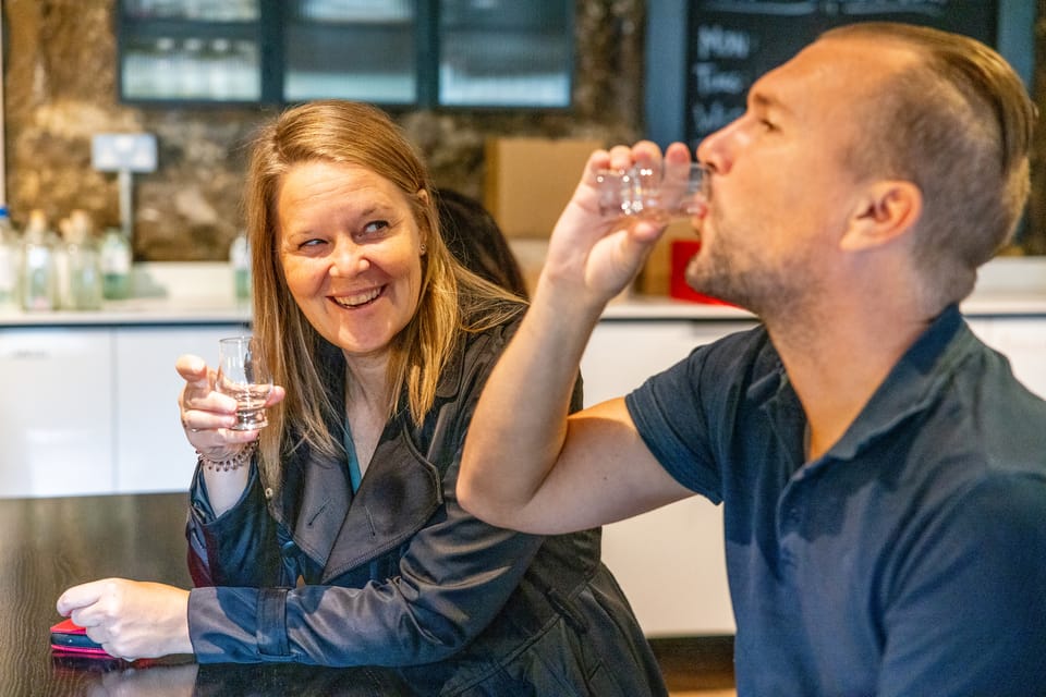 Edinburgh: Holyrood Distillery Whisky & Gin Tour - Who should book this Holyrood gin and whisky tour?