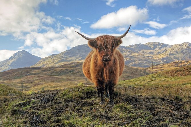 Edinburgh: Loch Lomond, Stirling Castle and the Kelpies Day Tour - A One-Day Sweep Between Edinburgh and the Highlands