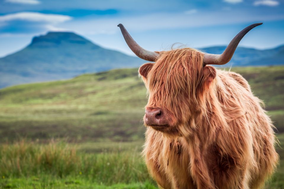 Edinburgh: Loch Ness, Inverness & Highlands Tour in Spanish - Pitlochry: a Victorian-style ending with enough time to reset
