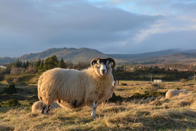 Edinburgh: Loch Ness, Inverness & The Highlands - 2 Day Tour - Key things to know before you go