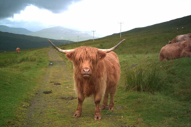 Edinburgh: Private Loch Ness Glencoe and The Highlands Tour - Glencoe and Rannoch Moor: a short stop with real payoff