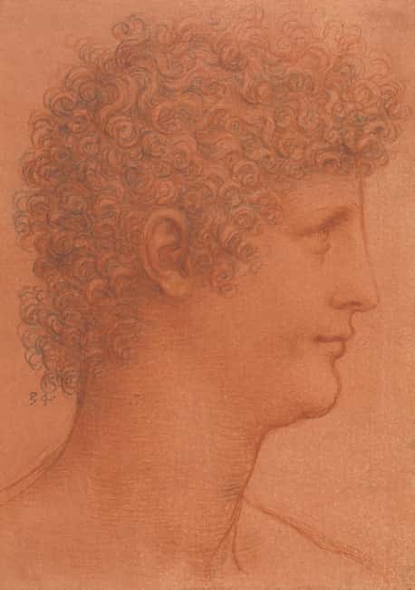 Edinburgh The King's Gallery Entrance Ticket - The current exhibition: Drawing the Italian Renaissance (what you’ll see)