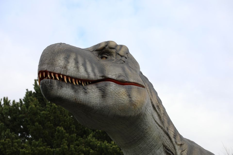 Edinburgh Zoo Entrance Ticket - Food, Restrooms, and Zoo-Venir Shopping Stops