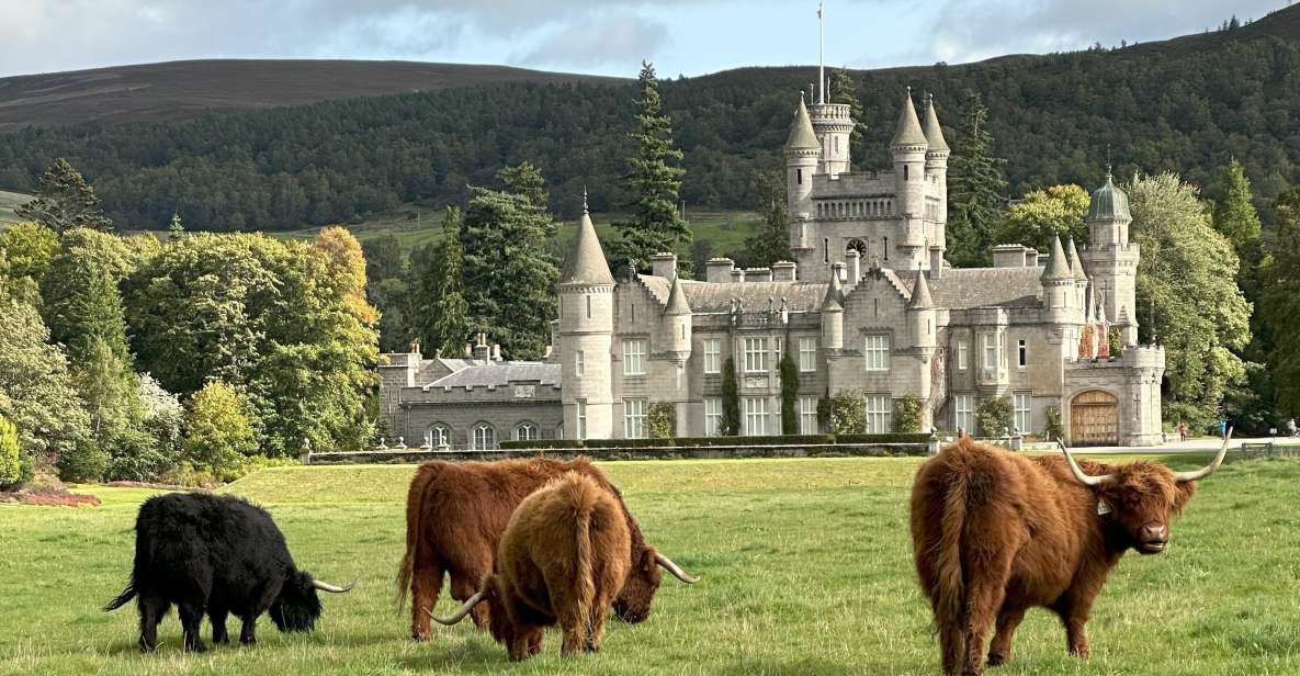 From Aberdeen: Balmoral Estate & Royal Deeside Tour - Tomnavarie Stone Circle: recumbent stones and unanswered questions