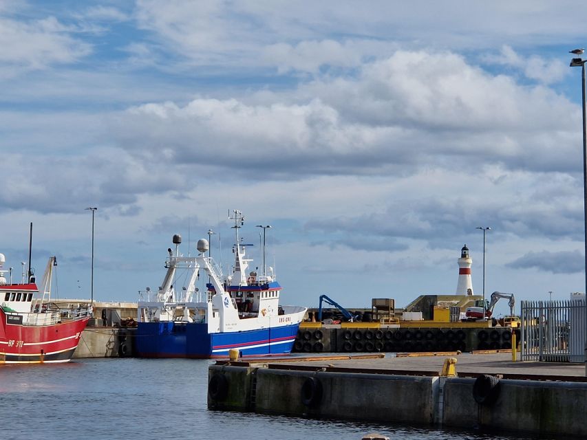 From Aberdeen: Coastal Villages of Aberdeenshire Tour - Bullers of Buchan: seabird cliffs, sea cave history, and wildlife chances