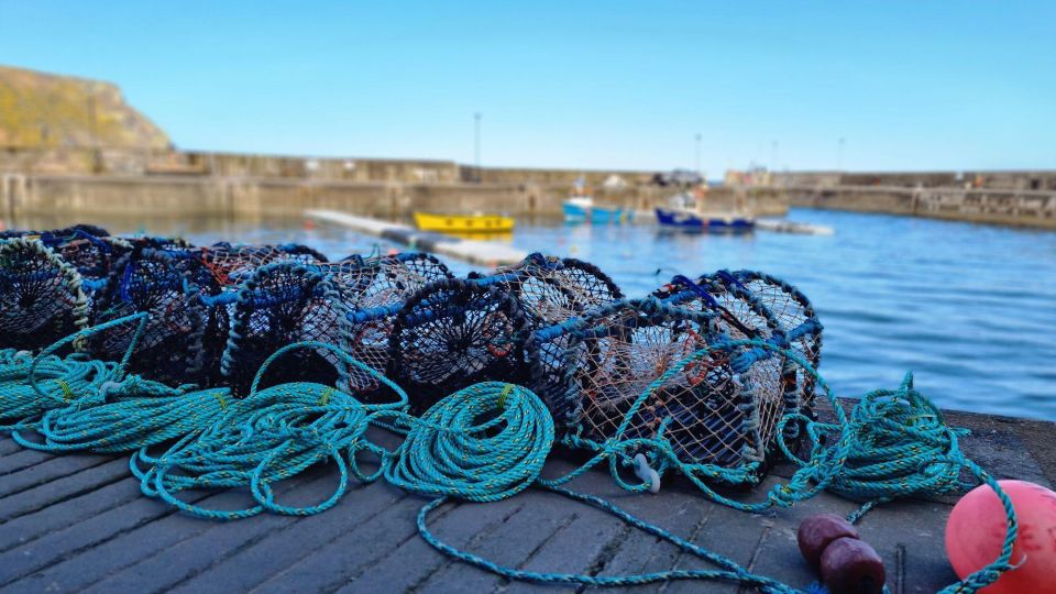 From Aberdeen: Coastal Villages of Aberdeenshire Tour - Price and logistics: is $134 worth a full day out of Aberdeen?