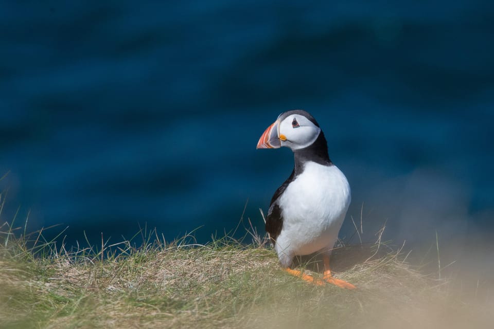 From Aberdeen: North East Coastal Trail Small-Group Tour - What to pack for a coastal day: footwear, layers, and luggage limits