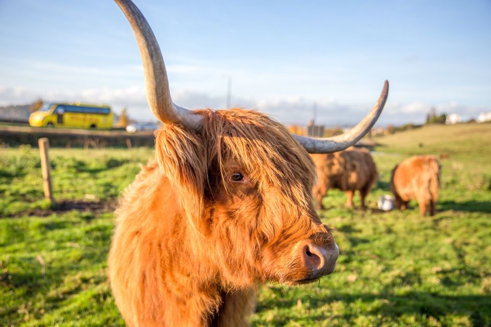 From Edinburgh: Isle of Skye & The Highlands 3-Day Tour - Practical tips that keep this trip smooth
