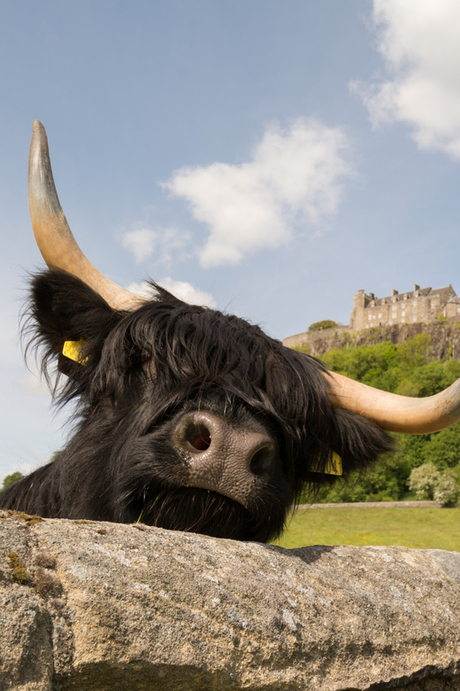 From Edinburgh: Loch Lomond, Stirling Castle & Kelpies Tour - Key points before you go