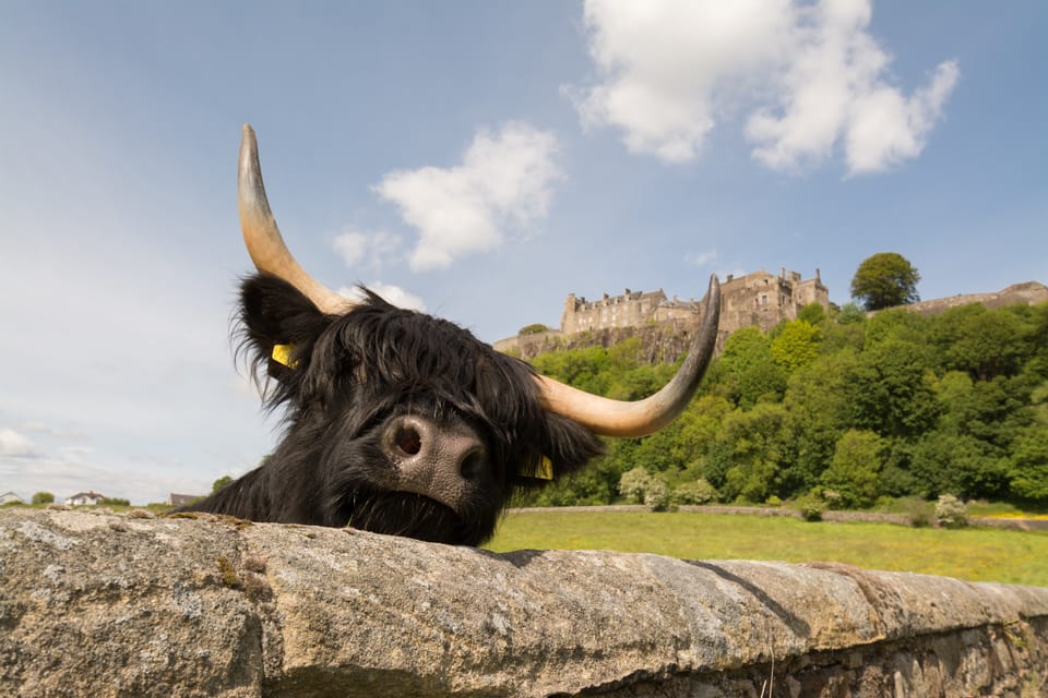 From Edinburgh: Loch Lomond, Stirling Castle & Kelpies Tour - South Queensferry viewpoint and the ride back to Edinburgh