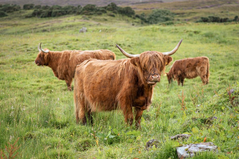 From Edinburgh: Loch Ness and The Highlands Tour - How Long Is Too Long: Pacing, Breaks, and What to Bring
