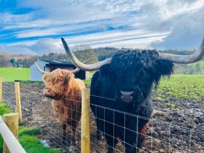 From Edinburgh: Loch Ness, Glencoe & The Highlands Day Trip - Meeting at Charlotte Square and What the Morning Really Feels Like