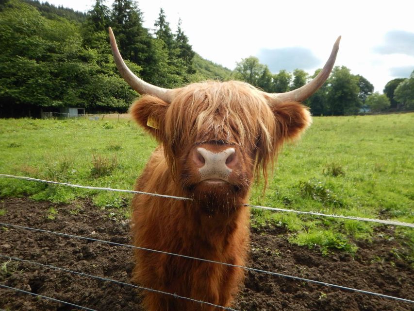 From Edinburgh: Scottish Highlands & Isle of Skye 5-Day Tour - Day 5: Culloden Optional Stop, Cairngorm Pass Views, and Pitlochry