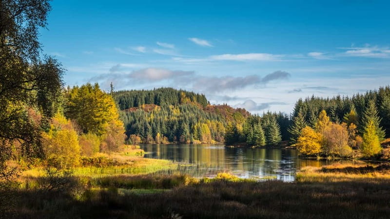 From Edinburgh: Stirling Castle, Kelpies and Loch Lomond - Loch Lomond and the Trossachs: Bonnie Banks time you can actually enjoy