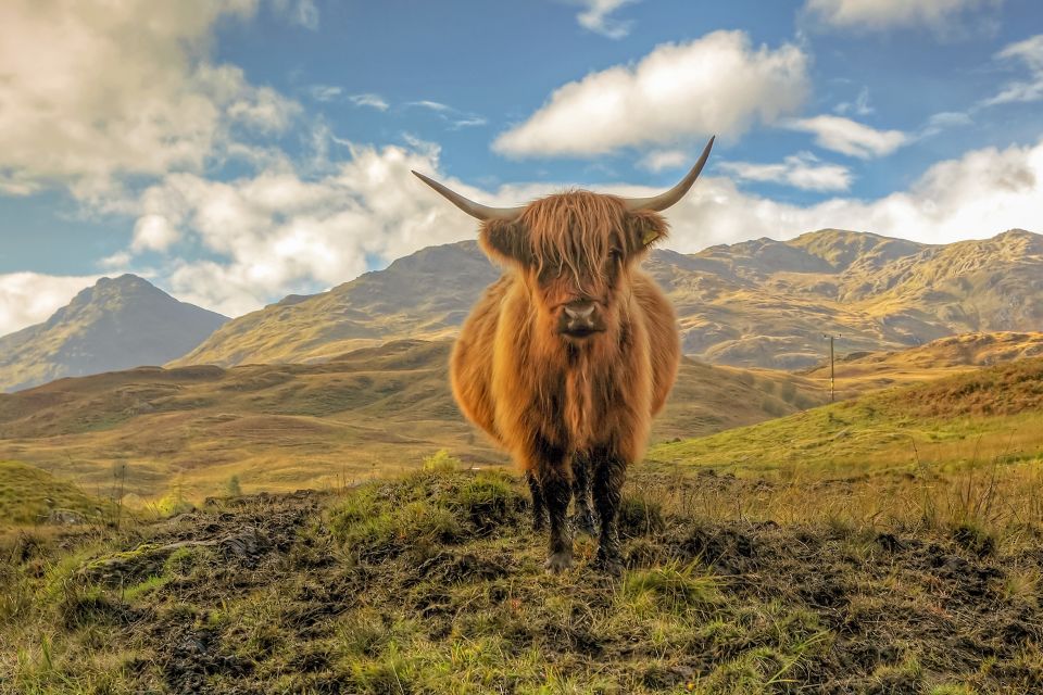From Edinburgh: Stirling Castle, Loch Lomond & Whisky Tour - Glasgow’s Clydeside distillery stop: what you’re really paying for