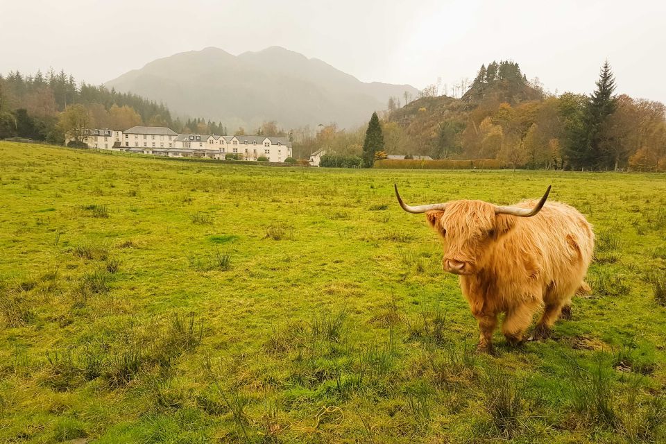 From Glasgow: Loch Lomond, Trossachs & Stirling Castle Tour - Callander Coffee Break: Stretch Time That Keeps the Whole Day Moving
