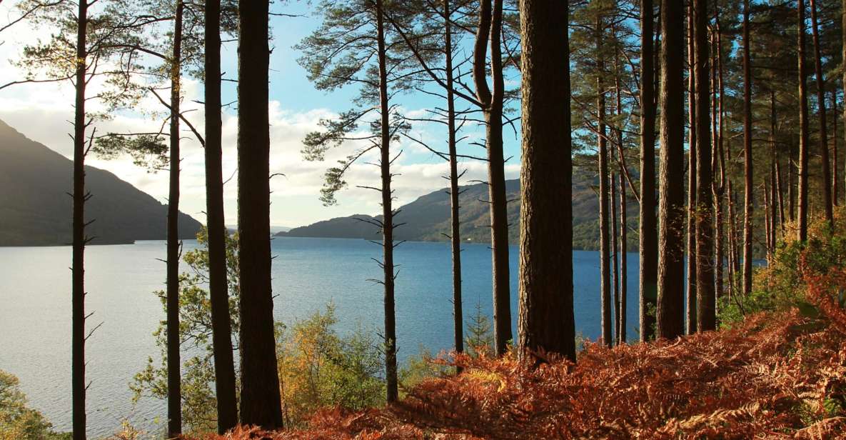 From Glasgow: Stirling Castle & Loch Lomond Tour with Cruise - Key Points You’ll Feel Right Away
