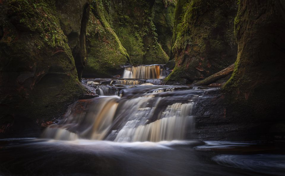 From Glasgow: The Devil's Pulpit Day Trip - The forest walk to the gorge: where the scenery turns otherworldly