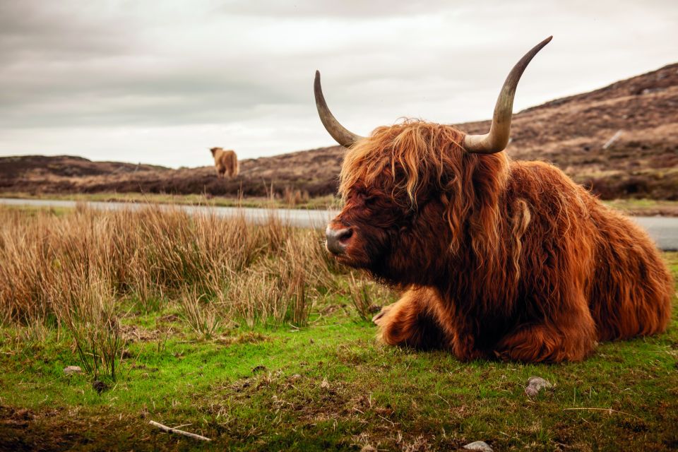 From Inverness: 3-Day Orkney Explorer - Should you book the 3-Day Orkney Explorer?