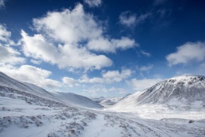 From Inverness: Cairngorms National Park and Whisky Tour - Cairngorms National Park viewpoints: big mountain drama, not long-wait parking