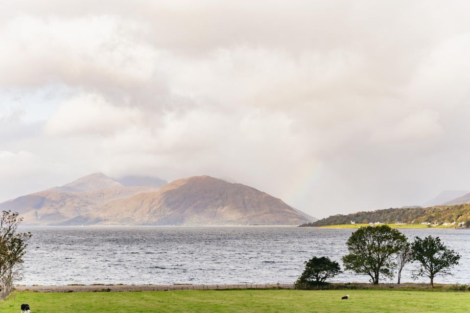 Glasgow: Loch Ness, Glencoe and Highlands Tour with Cruise - How the Mercedes Mini-Coach Changes the Day