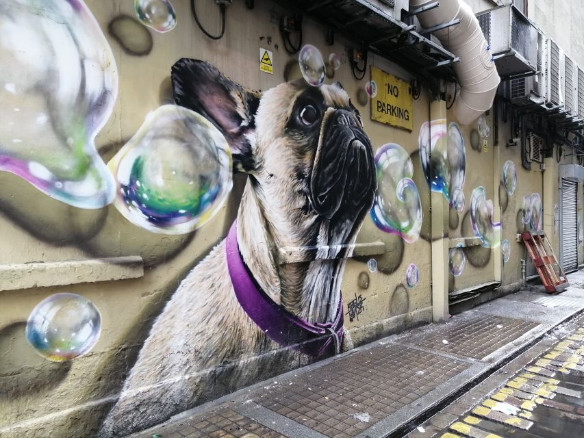 Glasgow: Street Art Guided Walking Tour - What You Actually Learn: Graffiti vs Street Art, and Why Glasgow Changed