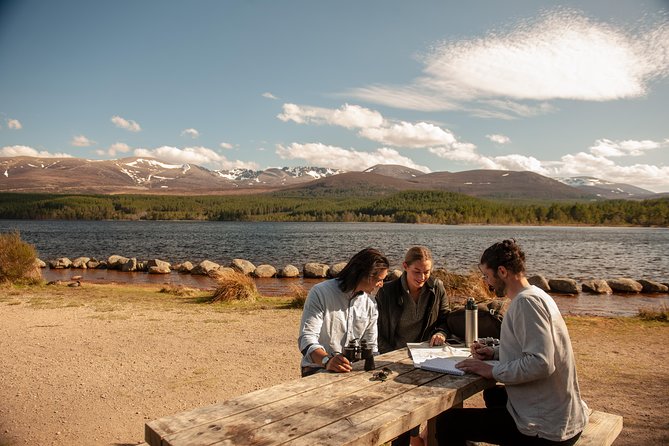 Highland Lochs, Glens & Whisky Day Tour Including Admission - The Real Value: What $80.08 Buys You on a Long Day