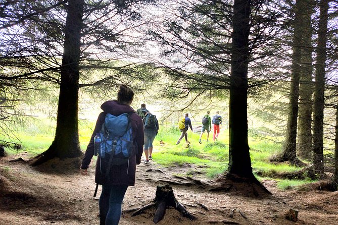 Hill & Nature Hike - Discover Real Edinburgh With a Local Expert - Stop in the Pentlands: What the Guide Teaches on the Way Up