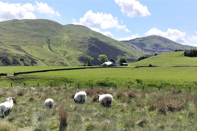 Hill & Nature Hike - Discover Real Edinburgh With a Local Expert - Timing That Actually Works: Half-Day Hiking with a Buffer