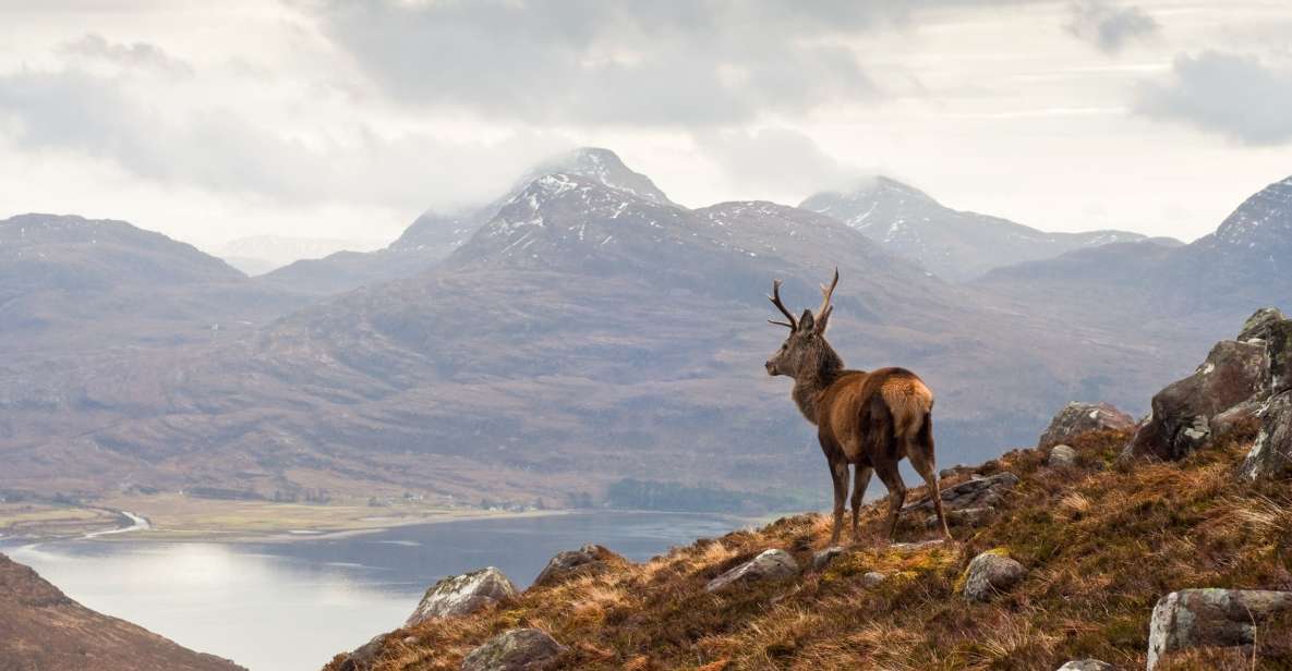 Inverness: Applecross, Loch Carron & Wild Highlands Day Tour - Why Applecross Works Best as a Guided Day Trip from Inverness
