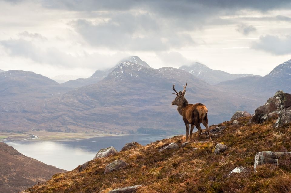 Inverness: Applecross, Loch Carron & Wild Highlands Day Tour - Loch Torridon and Beinn Eighe: The Nature-Reserve Stretch