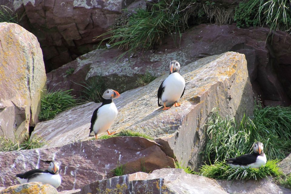 Inverness: John O'Groats and the Far North Day Tour - John O’Groats: cliff paths, signpost photos, and real wildlife odds