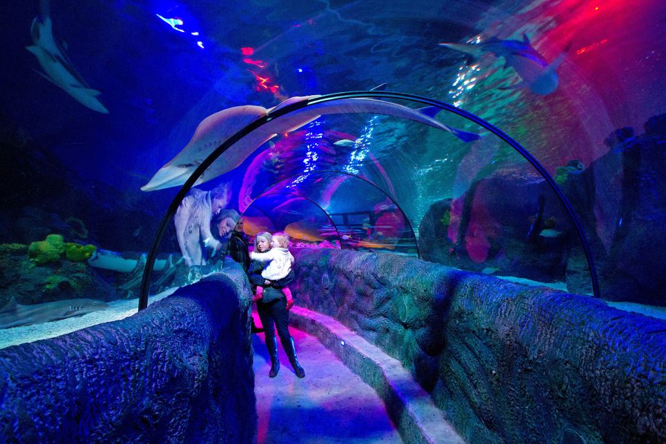 Loch Lomond: Sea Life Entrance Ticket - Ticket Value in Plain English: What $19 Gets You