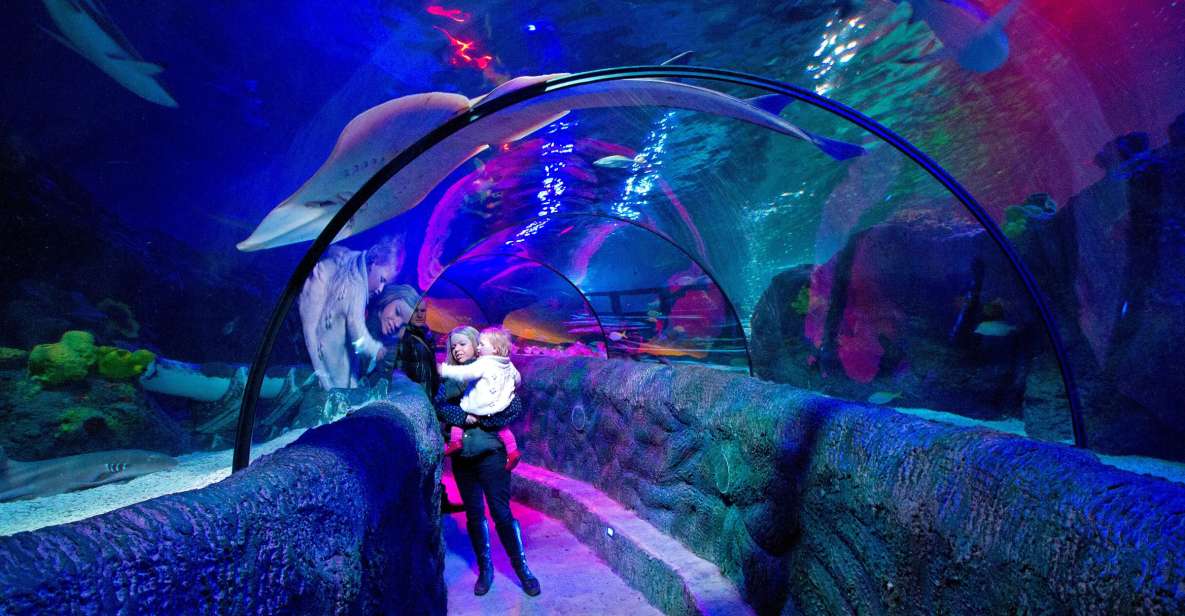 Loch Lomond: Sea Life Entrance Ticket - Getting Oriented: How the Route Works in a One-Day Visit