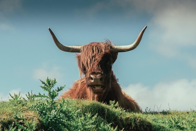 Loch Ness, Glen Coe & The Highlands Day Tour from Edinburgh - Guides and group size: why the stories matter on a 12-hour route