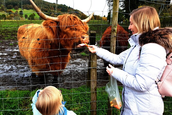 Loch Ness, Glencoe and the Highlands Private Day Tour - Kelpies and the William Wallace Monument: icons you’ll remember from the road