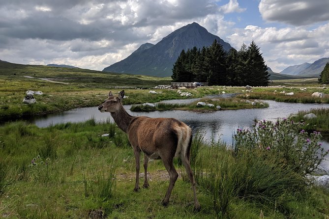 Private One Day Highlands Tour of Scotland - Price and logistics: is $897.71 per group worth it?