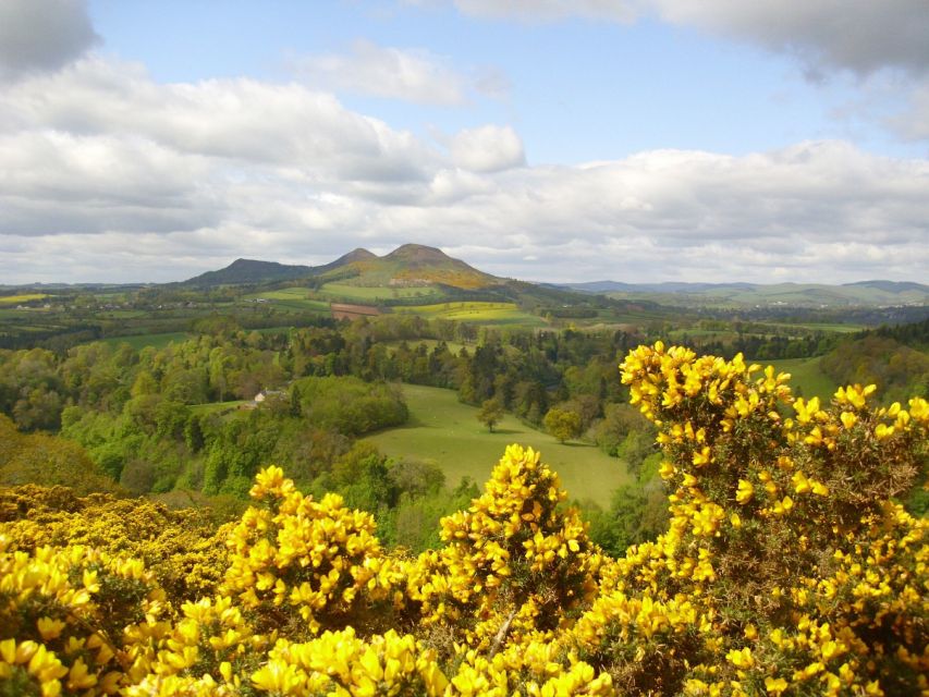 Rosslyn Chapel & Scottish Borders Tour from Edinburgh - Should You Book?